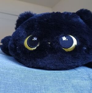 Plush Black Cat Toy